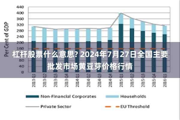 杠杆股票什么意思? 2024年7月27日全国主要批发市场黄豆芽价格行情