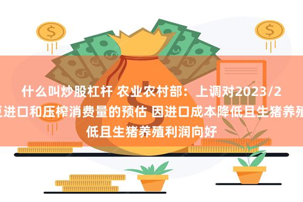 什么叫炒股杠杆 农业农村部：上调对2023/24年度大豆进口和压榨消费量的预估 因进口成本降低且生猪养殖利润向好