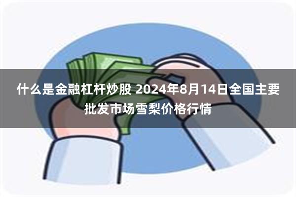 什么是金融杠杆炒股 2024年8月14日全国主要批发市场雪梨价格行情