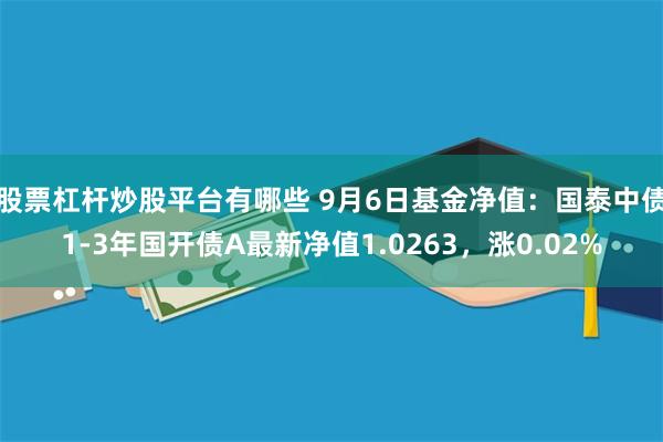 股票杠杆炒股平台有哪些 9月6日基金净值：国泰中债1-3年国开债A最新净值1.0263，涨0.02%