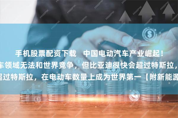 手机股票配资下载   中国电动汽车产业崛起！汉能董事长：我们在油车领域无法和世界竞争，但比亚迪很快会超过特斯拉，在电动车数量上成为世界第一【附新能源汽车行业前景】