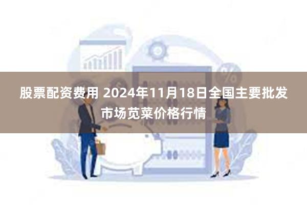 股票配资费用 2024年11月18日全国主要批发市场苋菜价格行情