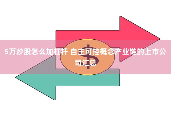 5万炒股怎么加杠杆 自主可控概念产业链的上市公司汇总