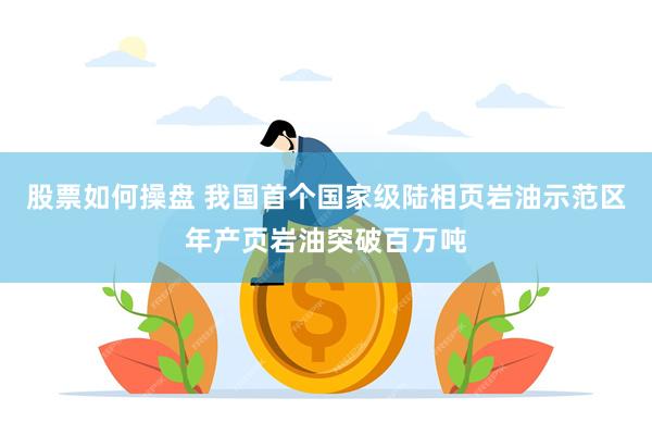 股票如何操盘 我国首个国家级陆相页岩油示范区年产页岩油突破百万吨