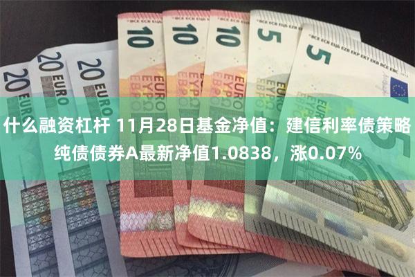 什么融资杠杆 11月28日基金净值：建信利率债策略纯债债券A最新净值1.0838，涨0.07%