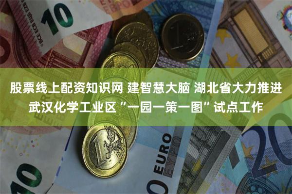 股票线上配资知识网 建智慧大脑 湖北省大力推进武汉化学工业区“一园一策一图”试点工作