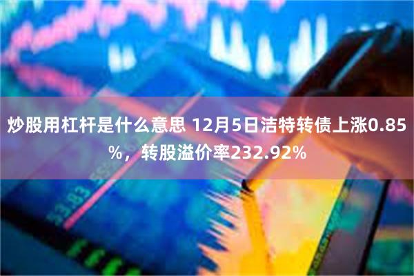 炒股用杠杆是什么意思 12月5日洁特转债上涨0.85%，转股溢价率232.92%