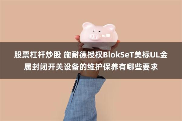 股票杠杆炒股 施耐德授权BlokSeT美标UL金属封闭开关设备的维护保养有哪些要求