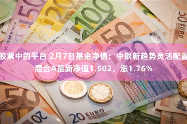 股票中的平台 2月7日基金净值：中银新趋势灵活配置混合A最新净值1.502，涨1.76%