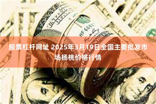 股票杠杆网址 2025年3月19日全国主要批发市场杨桃价格行情